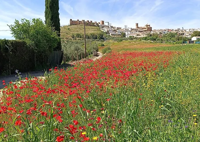La Casa Del Abuelo Curro